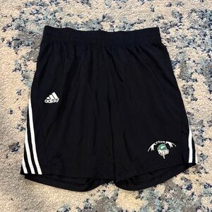 Adidas Black Athletic Men's Shorts with White Stripes